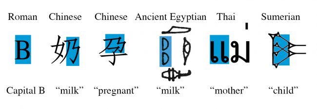 Fig. 2 We don't recognize the alphabet's Times Roman capital “B” as related to "mother," but four other cultures do. The Chinese character for “milk” has the "female" radical on the left, and a “B”-shape on right. The Chinese character for “pregnant” has a “B” shape with the word for "child" emerging from its bottom. The Ancient Egyptian hieroglyph for “milk,” rotated 90° clockwise to facilitate comparison was pronounced /irtt/ or "to make TT" which sounds a lot like "tit" or "teat." The Thai character for “mother” has two lower case "b's," which resemble the word "boobs" as well as the actual appendages. The last character is Sumerian for "child," one who sucks milk from her mother. All of these words have both “B” shapes and meanings that relate to "mother." The breast imagery has been highlighted in blue.