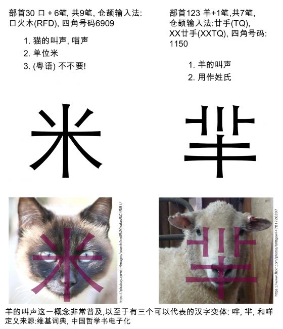 图31：猫和羊的对比