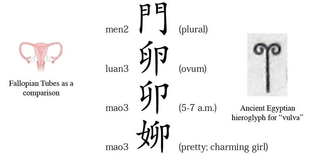 diagram comparing characters for men and ovum