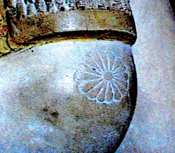 乳房以花的形象出现。在拉美西斯神庙附近发现的局部塑像玛利特阿蒙的乳房之处的细节。十八王朝（大约公元前1539年到1292年）。乔伊斯·泰德西里所著《埃及王后编年史》157页。