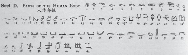 下图是加德纳给出的包含63个人体部位的清单，是提喻法的一个极端的例子。