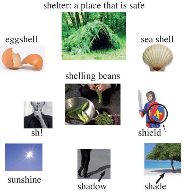 Words Beginning With Sh Origin Of Alphabet